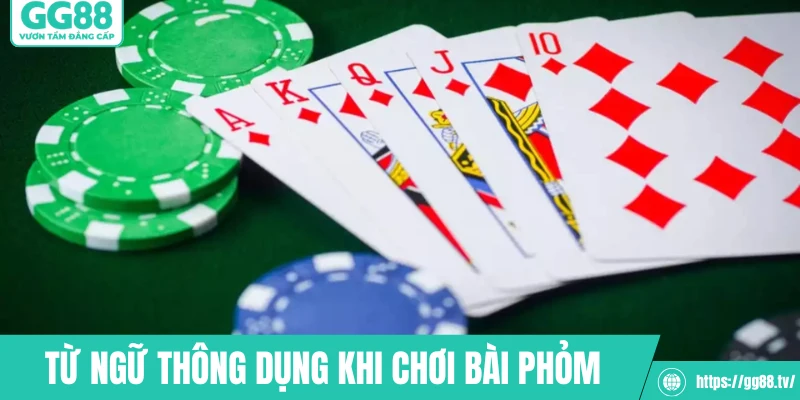 Từ ngữ thông dụng khi chơi bài phỏm